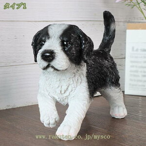  CeA  tBMA G ̒u  ی IuWF CeA kG z[fR[V  }XRbg R[q[Vbv rO[ Vzj