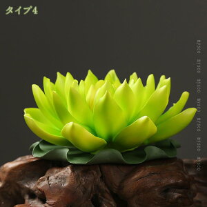 500~OFFN[| ̒u |pF tF  ObY Z~bNu  p R͋̕C J^ u  J^ ґz bNX XeBbN