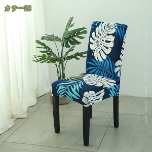 300~OFFN[| y2z֎qJo[ `FAJo[ k 킢 w~  _CjO`FAJo[ Xgb` tBbg Lт 􂦂 _炩 h~  tJo[ J