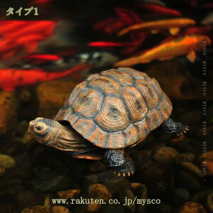 u K[fI[ig T ^   CeA K[fjO I[ig  r Ő A  K[fIuWF fR[V v[g a Mtg |