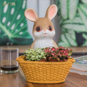 1000~OFFN[| Aؔ  AeB[N  k 蕨    O   CeAG IV v^[ Ő  ̑ O t[|bg 