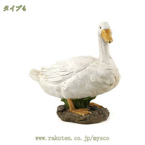 500~OFFN[| u O I[ig AeB[N  Aq zCg { CeA Aq̒ 񂬂̂̒u ̒u 傫TCY K[fI[i