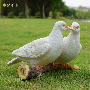 777~OFFN[|  IuWF Aj} CeAu Jbv [g[̑ I[ig 蕨 u Mtg j IV 蕨 |W ̓Mtg v[g L[