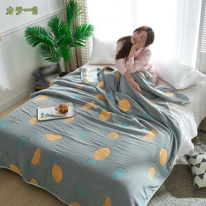 300~OFFN[| |ӂƂ zc 6dD uPbg Ȗѕz K[[^IPbg   Qzc |ӂƂ 6dK[[ VO Ђ| q xr[ WjA ʔNg