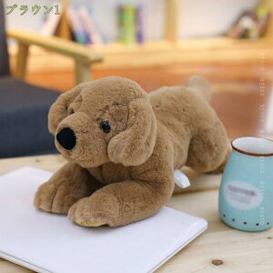 300~OFFN[| ʂ 킢 Ck ʂ  l` YQ _炩 ӂӂ GG ܂  YQ @\ n ̎q v[g j wj 