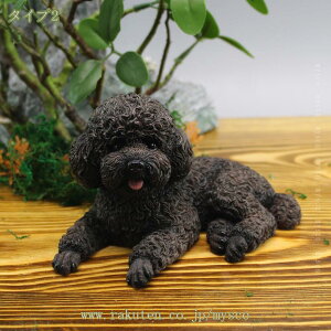 u ԃfR[V efB hbO J[fR[V Aj}IuWF I[ig ԓu ԏ ԍڗp tBMAu k̍H|i  I[ig ԗpi z[fR[