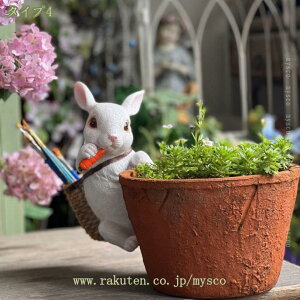 500~OFFN[| K[fIuWF u  K[fI[ig ~j`A  k  뒤̑ CeAG AeB[N ANZT[ i H|