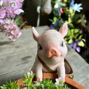 1000~OFFN[| Op IuWF ANZT[ K[fjOG CeA  Lu Jg[ i CeAG ̒u }XRbg ̕i Aj}IuWF 