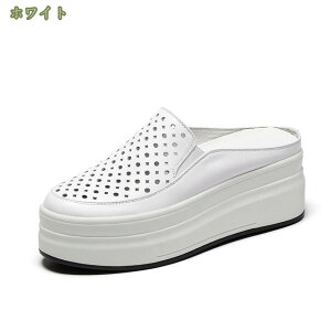 Xj[J[ fB[X Xb| U[ ƂȂ Xbp ₷ ɂȂ V[Y [Jbg ʋC  풅p ₷ Xj[J[ o L [t@[ g