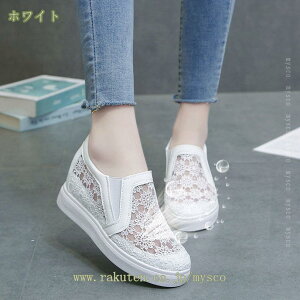 500~OFFN[| Xb| T_ Xj[J[ fB[X  JWAV[Y EFbW\[ Ȃ ₷ ɂȂ V[Y ʊw ʋC ʋ ԕ bV [