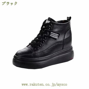 1620~OFFN[| sC y JWAV[Y fB[X [t@[Xb| Cq[Xj[J[  킢 C Mtg EH[LOV[Y Cq[   
