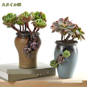 500~OFFN[| Aؔ  t[|bg Z~bN|bg 픫   킢 CeA AؔJo[ Z~bN ϗtA  yX^h  v[g M