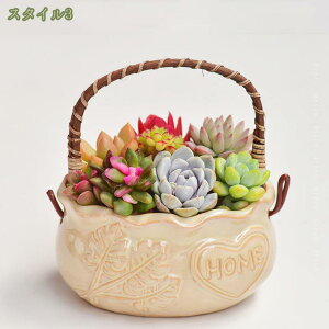 777~OFFN[| Jo[ v^[Jo[ _  v^[ k u 킢 t[|bg AؔJo[  K[fjOG  e x_ ֐ փ|[`  