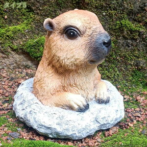 500~OFFN[| K[fI[ig |  L ˂ Lu CeAG W CeAG K[fjOG ̕i Aj}IuWF fXN 