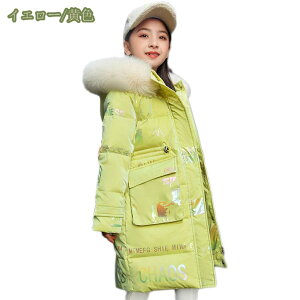 1620~OFFN[| ~ _ER[g LbY ̎q LbY _EWPbg K[Y ~ ۉ O t[ht t@[ q y ʊw LbY _ER[g t@Xi[ _EWP