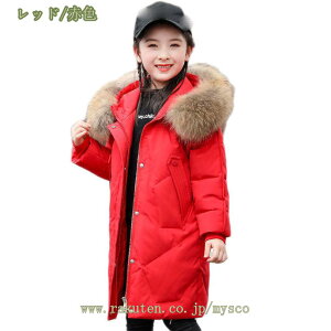 500~OFFN[| ~ _ER[g LbY ̎q LbY _EWPbg K[Y ~ ۉ O t[ht t@[ q y ʊw LbY _ER[g t@Xi[ _EWPb