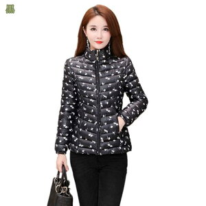 R[g fB[X V[g _ER[g _EWPbg V[g H~ VGbg h h  ԕ  ~ h   p 傫TCY i h ׌ V