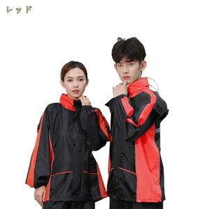 777~OFFN[| CEFA ㉺ ㉺Zbg Jbp CEFA w ʋ ʊw CX[c fB[X Y AEghA Lv Sh ] 傫TCY oR y ʊwp 