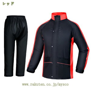 777~OFFN[| CEFA ㉺ ㉺Zbg Jbp CEFA w ʋ ʊw CX[c fB[X Y AEghA Lv Sh ] 傫TCY oR y ʊwp 