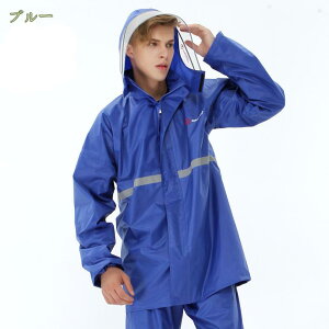 500~OFFN[| CEFA ㉺ ㉺Zbg Jbp CEFA w ʋ ʊw CX[c fB[X Y AEghA Lv Sh ] 傫TCY oR y ʊwp 