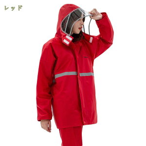 1000~OFFN[| CR[g CEFA fB[X CX[c ㉺Zbg IV St CEFA  h h J JH ~J΍ AEghAX|[c^St/ނ/