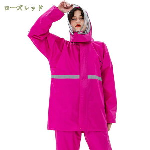 500~OFFN[| CEFA ㉺ ㉺Zbg Jbp CEFA w ʋ ʊw CX[c fB[X Y AEghA Lv Sh ] 傫TCY oR y ʊwp 