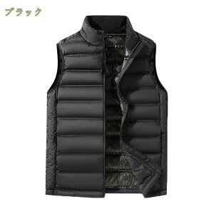 _ExXg Y Ci[_ExXg _EWPbg Cg_E hxXg StEFA g y fB[X_ExXg rWlX am j H~ AE^[ ۉ ނ 