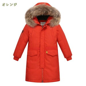 1000~OFFN[| LbY AE^[ Vg̃R[g ̎q q  _ER[g h WPbg q  w w ct [XJ[t@bV WjA xr[  