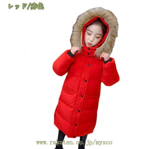 1000~OFFN[| LbY AE^[ _E 120cm ~ WjA  j ̎q j̎q g  WPbg _ER[g  qǂ u] q ʊw w  o K[Y {