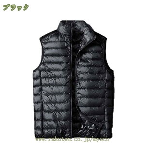 St _ExXg Y StEFA _E WPbg iC ~Mۉ H AE^[ u] y X^hJ[ WbvAbv n X|[c h h H~  mysco