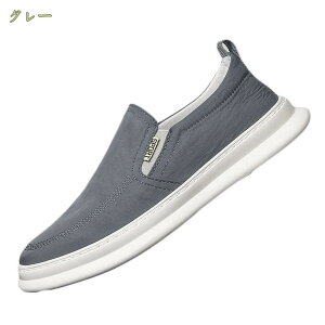 300~OFFN[| JWAV[Y L EH[LOV[Y Y Xb| RtH[g ʋC Ȃ 傫TCY ~ V[Y I[V[Y Ȑ ϖՐ ʋ o