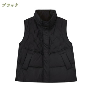 _ExXg fB[Y 傫TCY y h h EgCg_ExXg V[g X^hJ[ Cg_E  ۉ h  H~ oR o gbvX NX