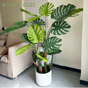 �t�F�C�N�O���[�� ��^�ϗt�� �C���e���A �l�H�ϗt�A�� ������� �l�H�ϗt�A�� ���� ���A�� �V���v�� �I�t�B�X ���� �J�t�F BAR ���� ���� ���r���O �Q�� �t�F�C�N�O���[�� �l�H�ϗt�� �t�F�C