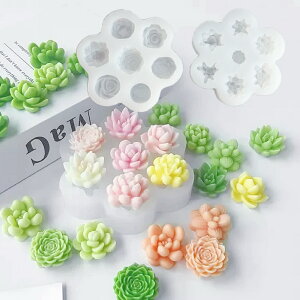 yVR[hzA o T{e KN [Y  A A  t[ R ~j`A VR[h Lh A}Xg[ W ΍p Sy ANZT[ fR