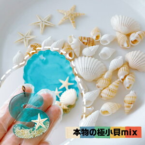 yRfށz{̋ɏLmix 4ރ~bNX f \t VF L qgf z^e p[c P[X ANZT[ VR f Lk Ci W VFCJ[ VJVJ C