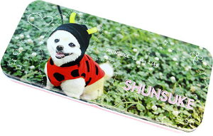 yʃyP[Xz|jA@rB@fUC@uLʁ@JyP[X@KPSH-02