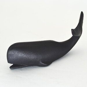 茧򒒕@@암S@NW@y[p[EFCgyyMt_Iz{@237g@