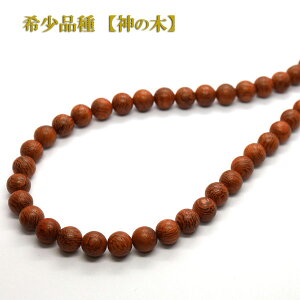 yX[p[SALE 10%OFFz  lbNX Y  Vv i` hZihR hSc[ 10mm  ANZT[ F uE Ebh  ؐ Y fB[X KFlb