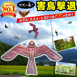 悯 JCg   h ǂJCg C[OJCg Q΍   XY JX 悯 JX悯 qh Nh  ʎ ƒ؉ c _ Aی _앨ی y