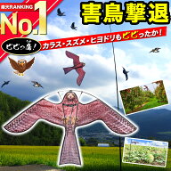 【楽天ランキング1位獲得】 鳥よけ カイト 鷹 凧 防鳥具 鳥追いカイト イーグルカイト 害鳥対策 撃退 忌…