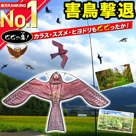 【楽天ランキング1位獲得】 鳥よけ カイト 鷹 凧 防鳥具 鳥追いカイト イーグルカイト 害鳥対策 撃退 忌避 スズメ カラス 鳩よけ カラスよけ ヒヨドリ ムクドリ 畑 果樹園 家庭菜園 田んぼ 農園 植物保護 農作物保護 軽量 丈夫 強靭 FRP ポール 支柱付き 4m 【ビビっ鷹！】