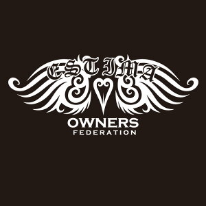 JbeBOXebJ[ 260×580TCY g^iTOYOTAjGXeB} ESTIMA tribewing1  J[ XebJ[ ANZT[ V[ KX[]