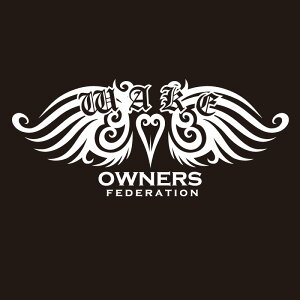 JbeBOXebJ[ 160×370TCY _CnciDAIHATSUjWAKE EFCN tribewing1  J[ XebJ[   ANZT[ V[ KX I[_[Ch ][]