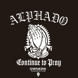 JbeBOXebJ[ 290×250TCY g^iTOYOTAjAt@[h ALPHARD prayhands  J[ XebJ[ ANZT[ V[ KX[]