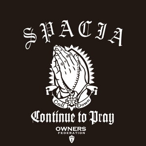 JbeBOXebJ[ 290×250TCY XYLiSUZUKIjXy[VA SPACIA prayhands  J[ XebJ[ ANZT[ V[ KX[]