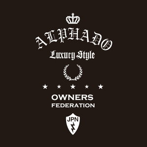 JbeBOXebJ[ 390×260TCY g^iTOYOTAjAt@[h ALPHARD dressup  J[ XebJ[ ANZT[ V[ KX[]