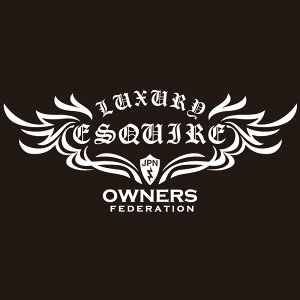 JbeBOXebJ[ 280×600TCY g^iTOYOTAjGXN@CA ESQUIRE flyhigh  J[ XebJ[ ANZT[ V[ KX[]