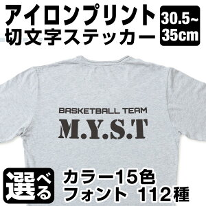 1OKIyEЂ炪ȁEEAt@xbgz35cm܂œiIi30.5`35cmjACvg V[ TVcvg p[J[vg I[_[ChTVc `[EFA