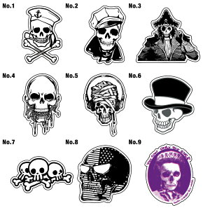 5cm XebJ[ V[   AEghA X[cP[X  T[tB T[t{[h oCN h LN^[ J[ V[ G by XbeJ[ XeBbJ[ XJ A