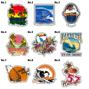 5cm XebJ[ V[   AEghA X[cP[X  T[tB T[t{[h oCN h LN^[ J[ V[ G by XbeJ[ XeBbJ[ T[t C